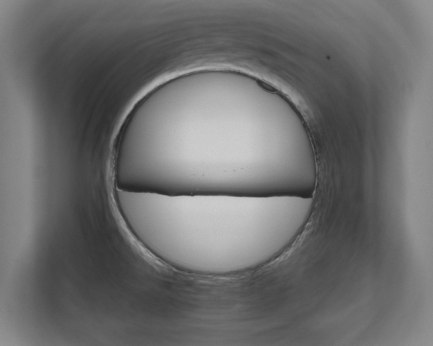 X0000111581526200907231225