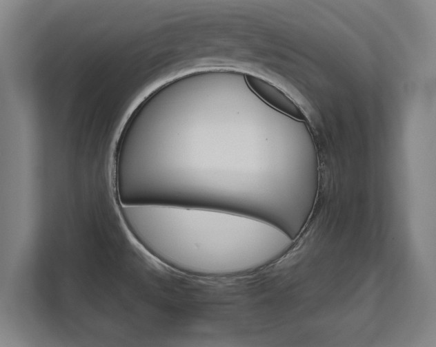 X0000111581527200907231225