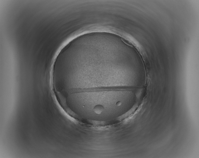 X0000111581528200907231225