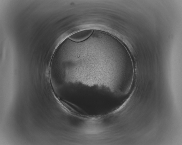 X0000111581529200907231225