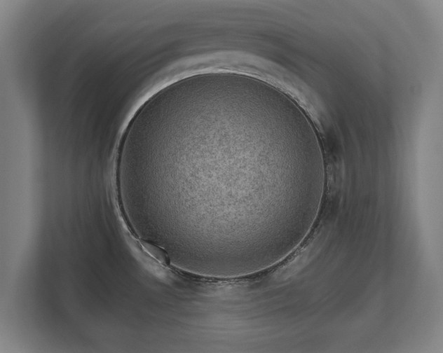 X0000111581530200907231225