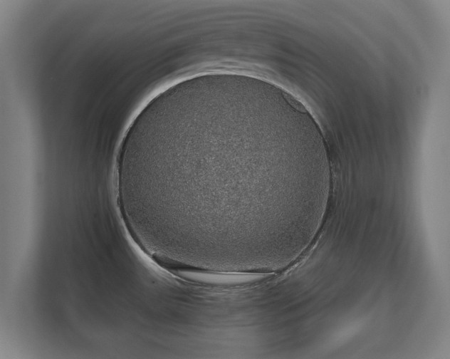 X0000111581531200907231225