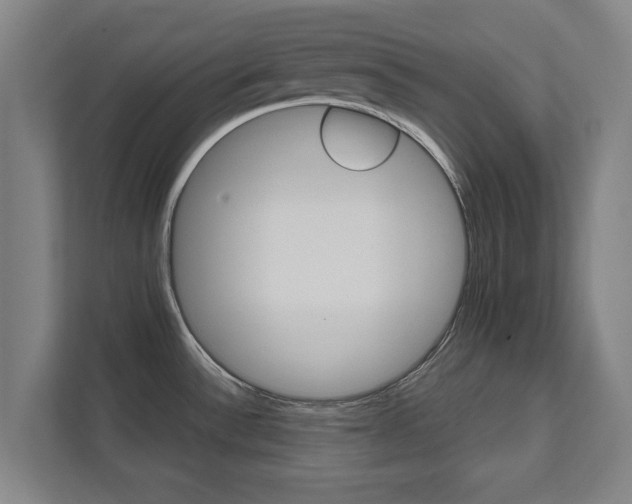 X0000111581532200907231225