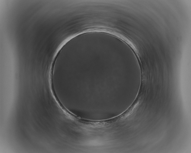 X0000111581533200907231225