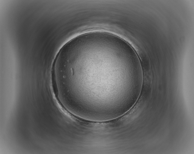 X0000111581534200907231225