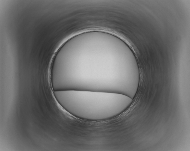 X0000111581535200907231225