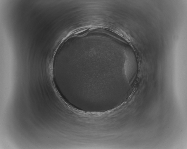 X0000111580002200907301415