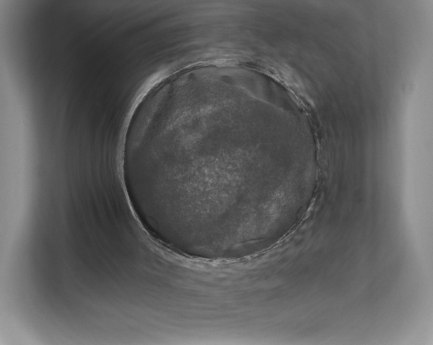 X0000111580003200907301415