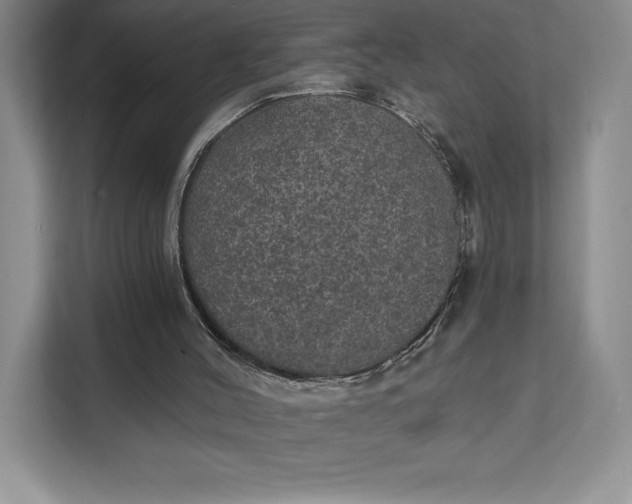 X0000111580004200907301415