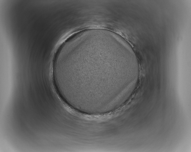 X0000111580005200907301415