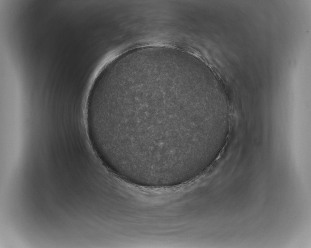 X0000111580006200907301415