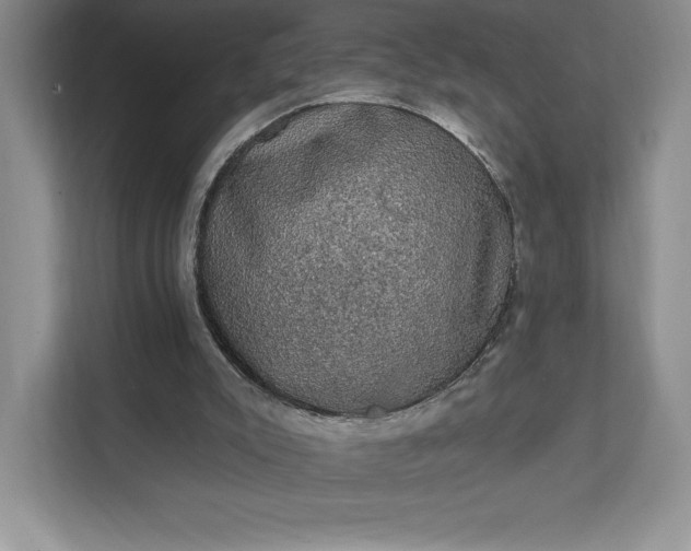 X0000111580007200907301415