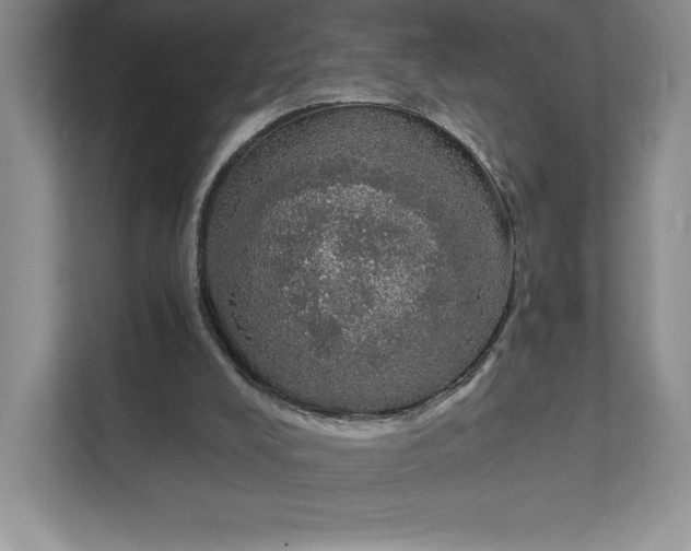 X0000111580008200907301415