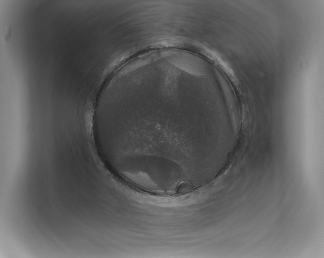 X0000111580010200907301415