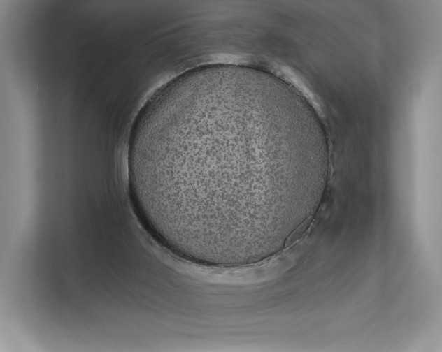 X0000111580011200907301415