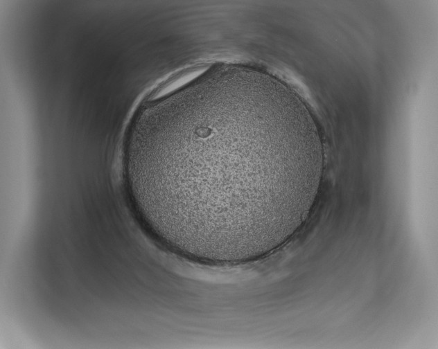 X0000111580012200907301415