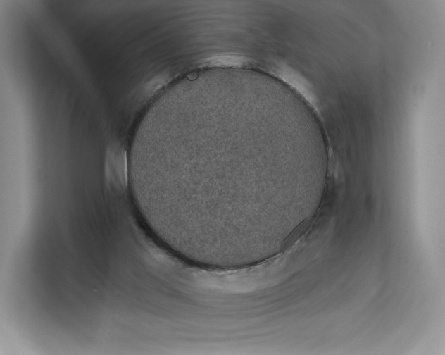 X0000111580013200907301415