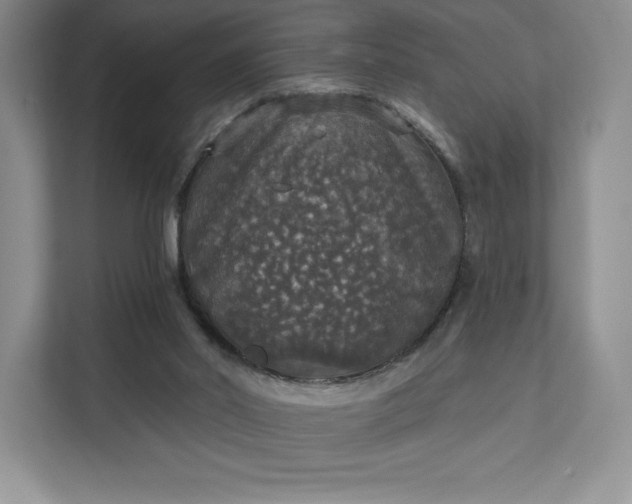 X0000111580014200907301415