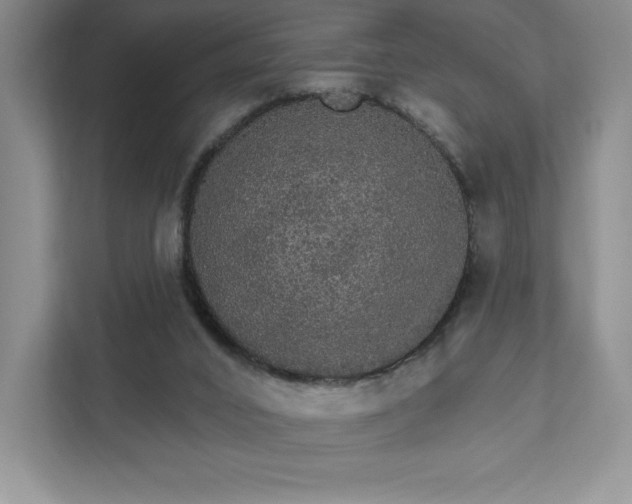 X0000111580016200907301415