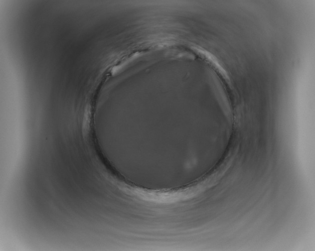 X0000111580018200907301415