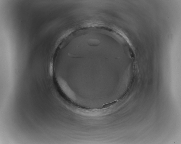 X0000111580019200907301415