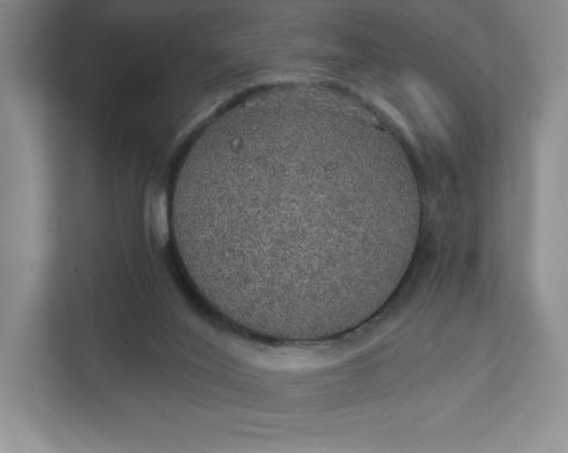 X0000111580020200907301415