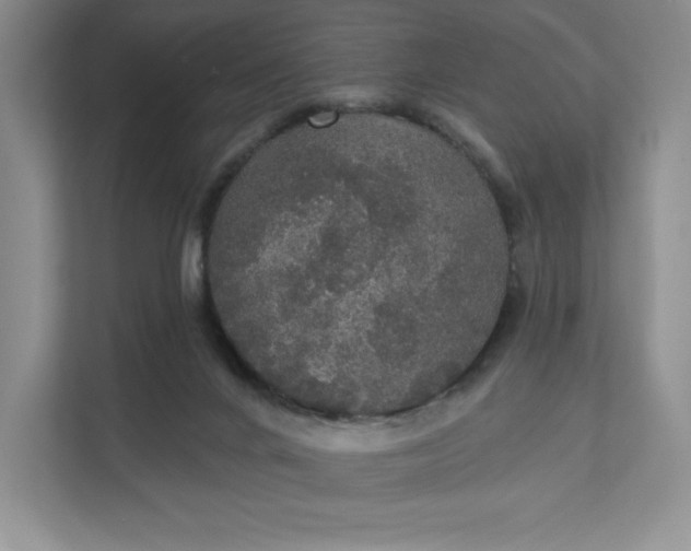 X0000111580024200907301415