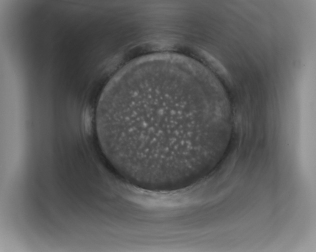 X0000111580026200907301414