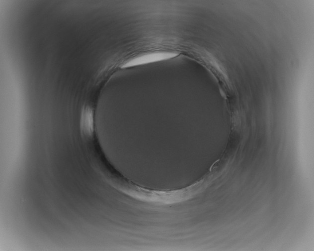 X0000111580027200907301414