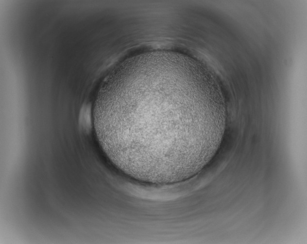 X0000111580028200907301414