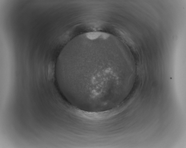 X0000111580030200907301414