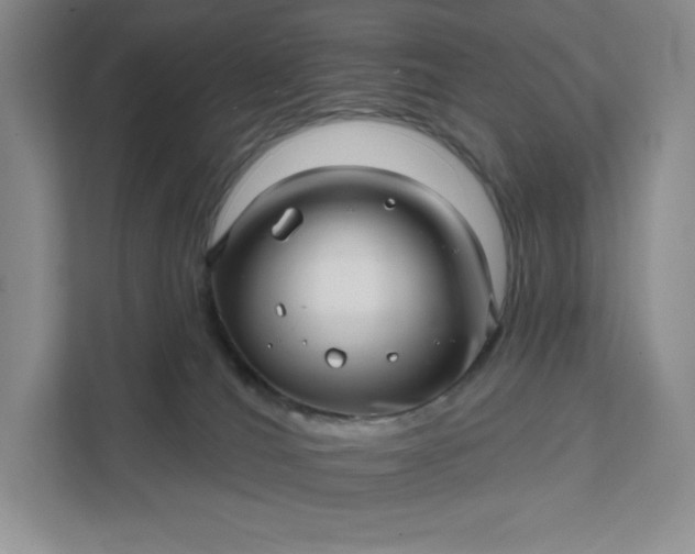 X0000111580036200907301414