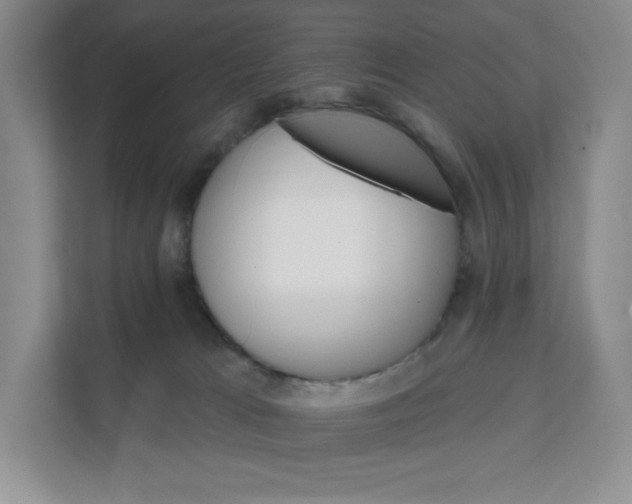 X0000111580037200907301414