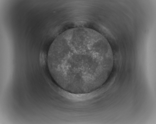 X0000111580038200907301414