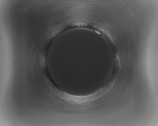 X0000111580039200907301414