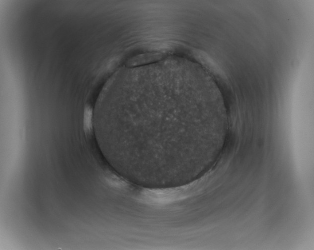 X0000111580041200907301414