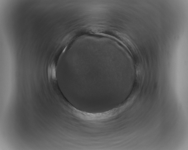 X0000111580046200907301414