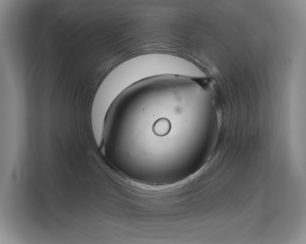 X0000111580047200907301414