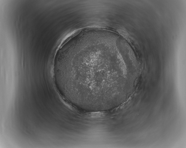 X0000111580050200907301414