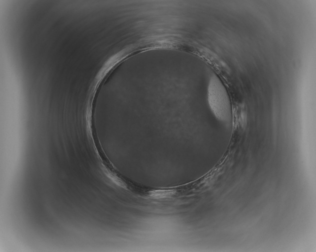 X0000111580051200907301414