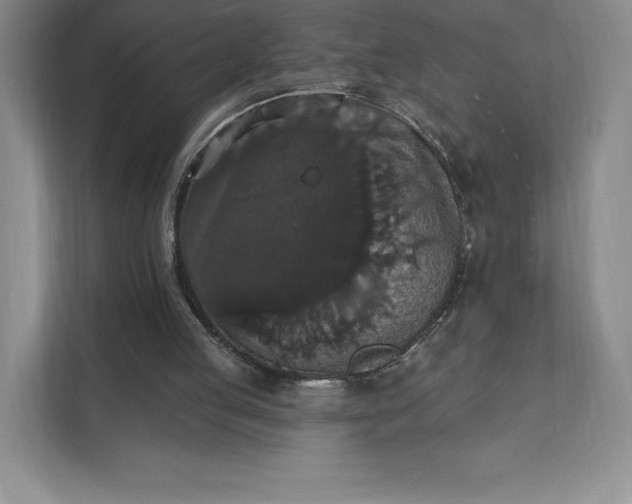 X0000111580053200907301414