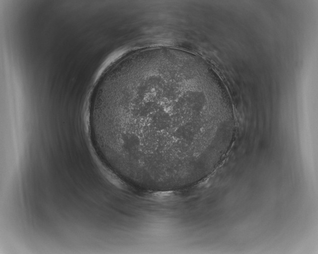 X0000111580054200907301414