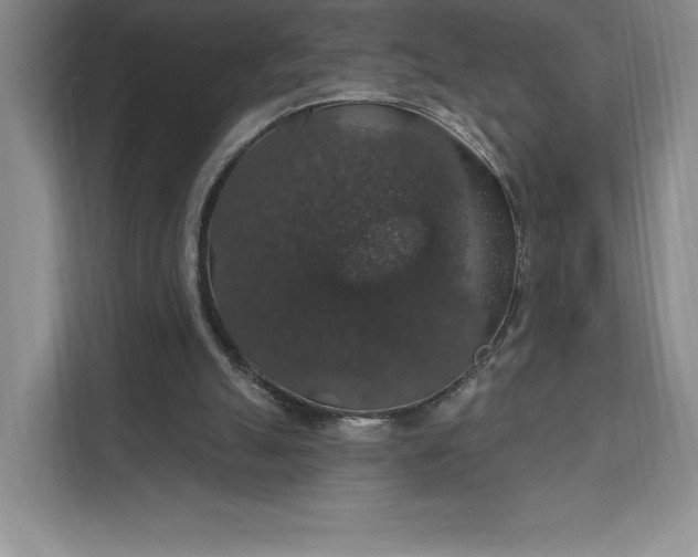 X0000111580055200907301414