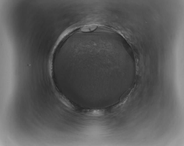 X0000111580056200907301414