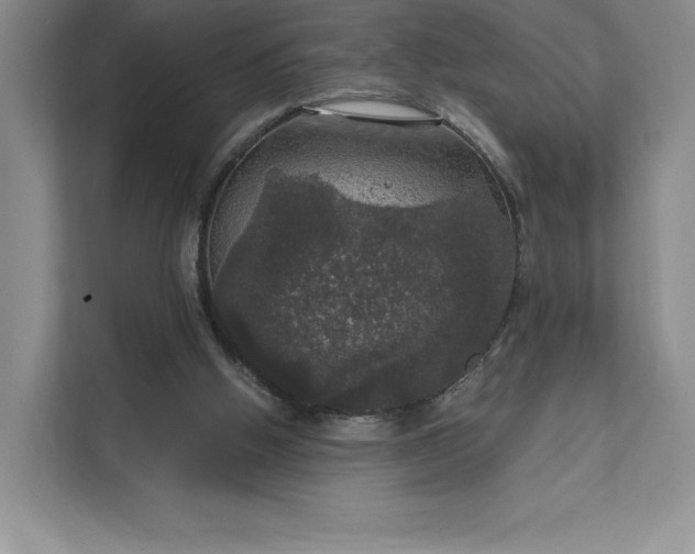 X0000111580058200907301414