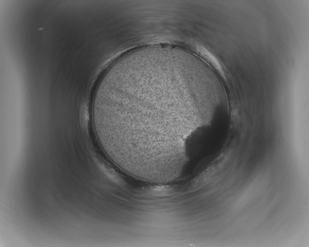 X0000111580059200907301414