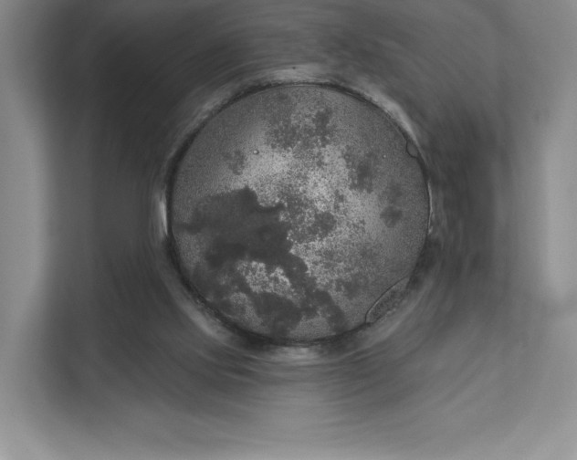 X0000111580061200907301414