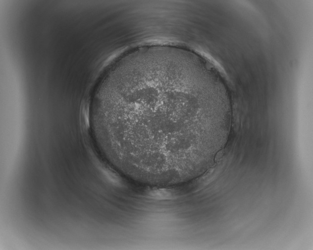 X0000111580062200907301414