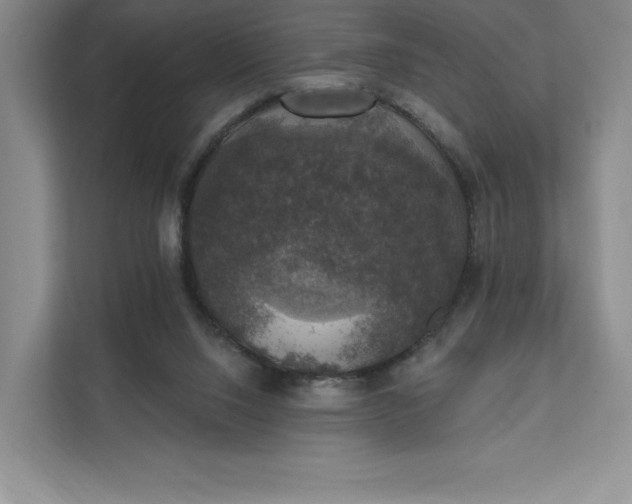 X0000111580064200907301414