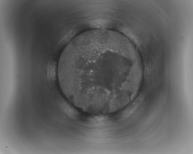 X0000111580065200907301414